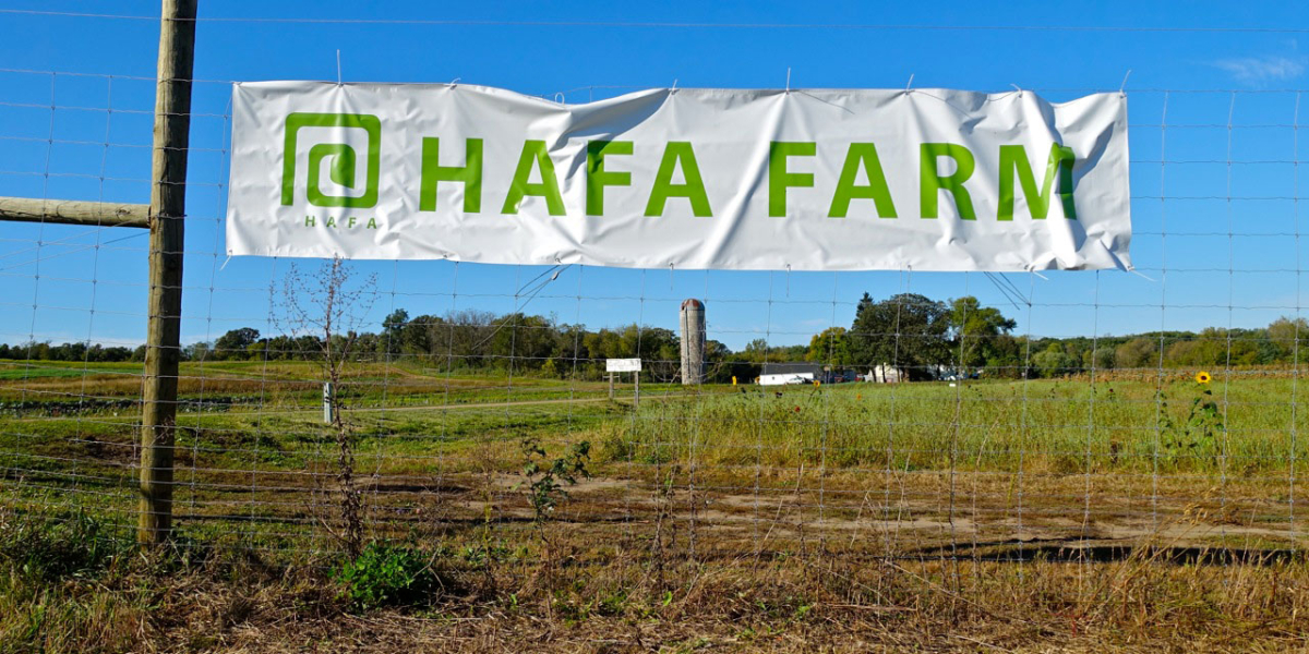 The HAFA Farm | Hmong American Farmers Association