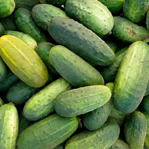 Cucumbers