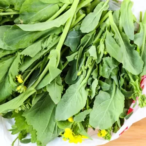 Hmong Mustard Greens