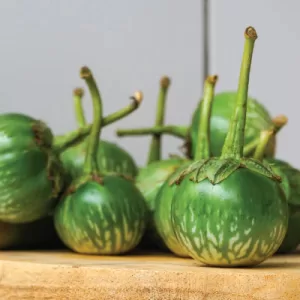 Thai Eggplant