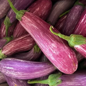 Eggplant